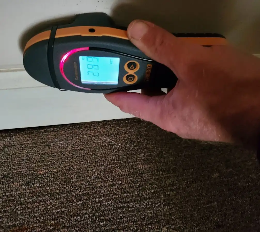 Moisture detection at baseboard during Mold Inspection & Testing in Midland